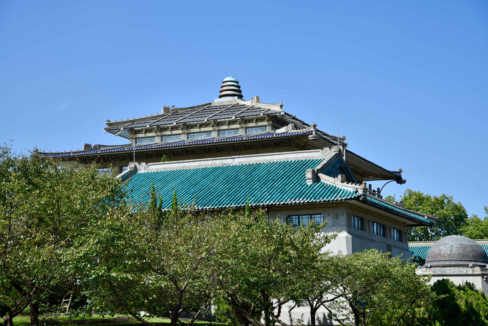教育经历 image